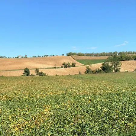 Гостевой дом Casa Serena