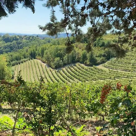 Casa Serena Гостевой дом Солонгелло